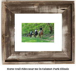 horse trail rides near me in Calumet Park, Illinois